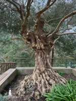 conciergerie-locquirecoise-location-vacances-locquirec-1-3-768x1024