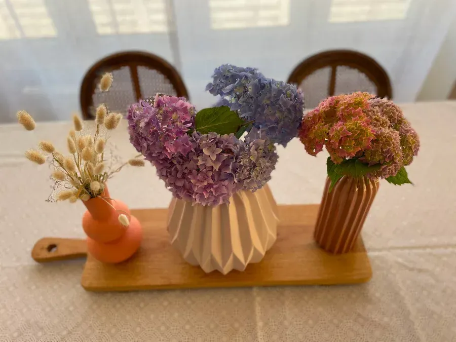 conciergerie-locquirecoise-location-vacances-locquirec-img-14