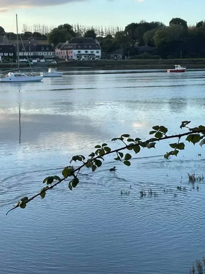 conciergerie-locquirecoise-location-vacances-locquirec-img-11