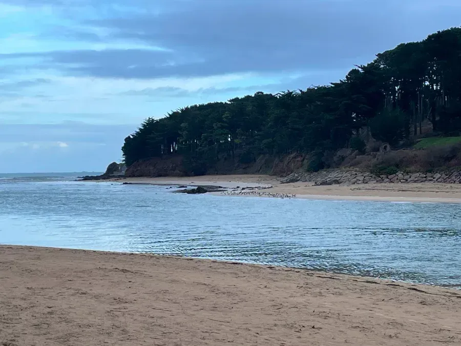 conciergerie-locquirecoise-location-vacances-locquirec-img-10 (1)