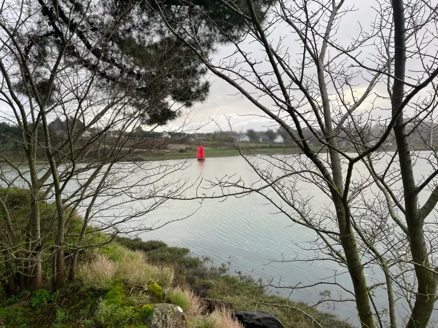 conciergerie-locquirecoise-location-vacances-locquirec-img-9